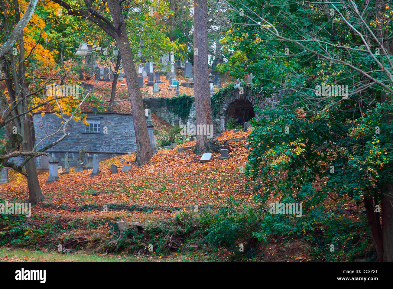 Rock creek park washington dc hi-res stock photography and images - Alamy