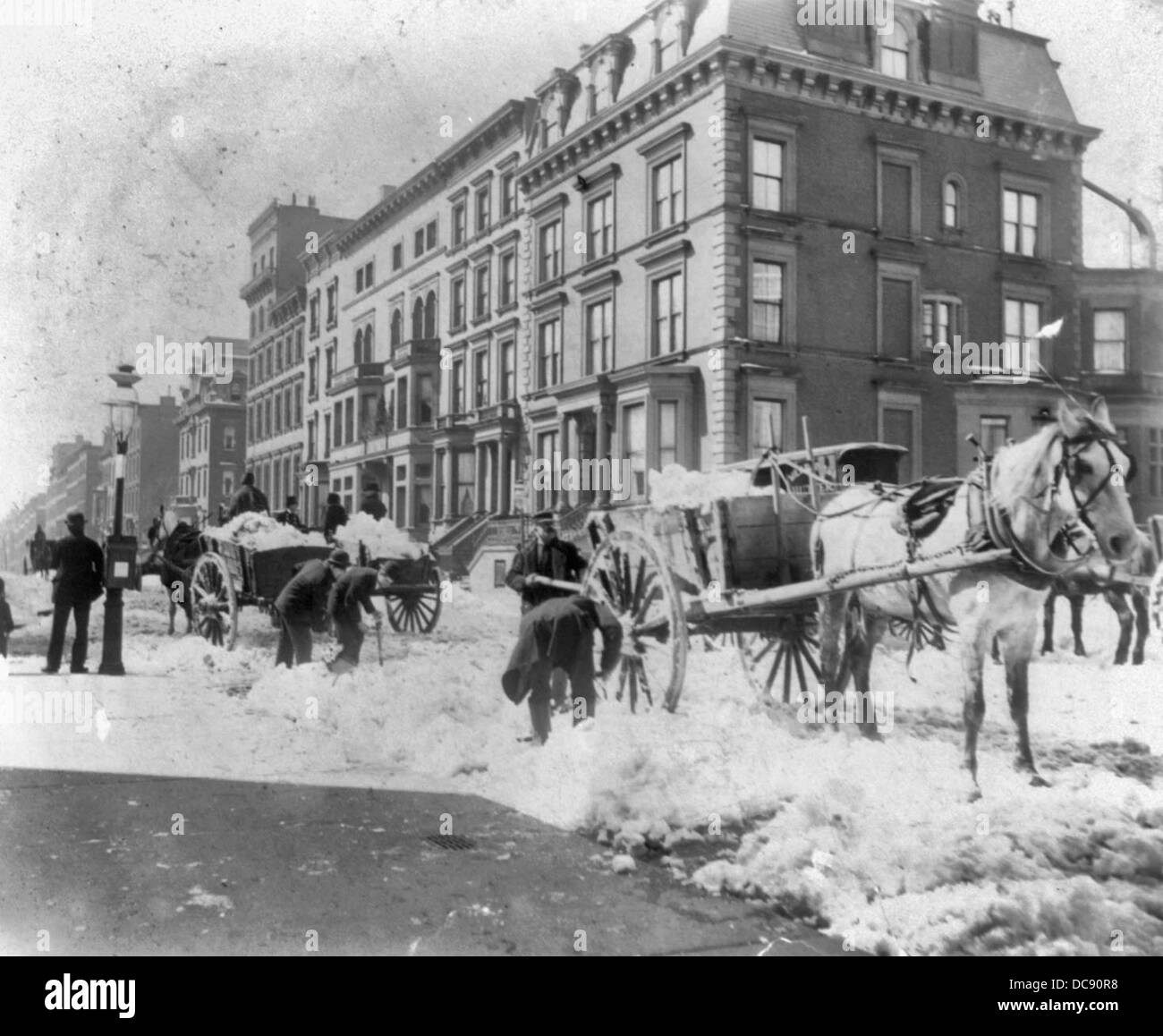 Horse snow new york hi-res stock photography and images - Alamy