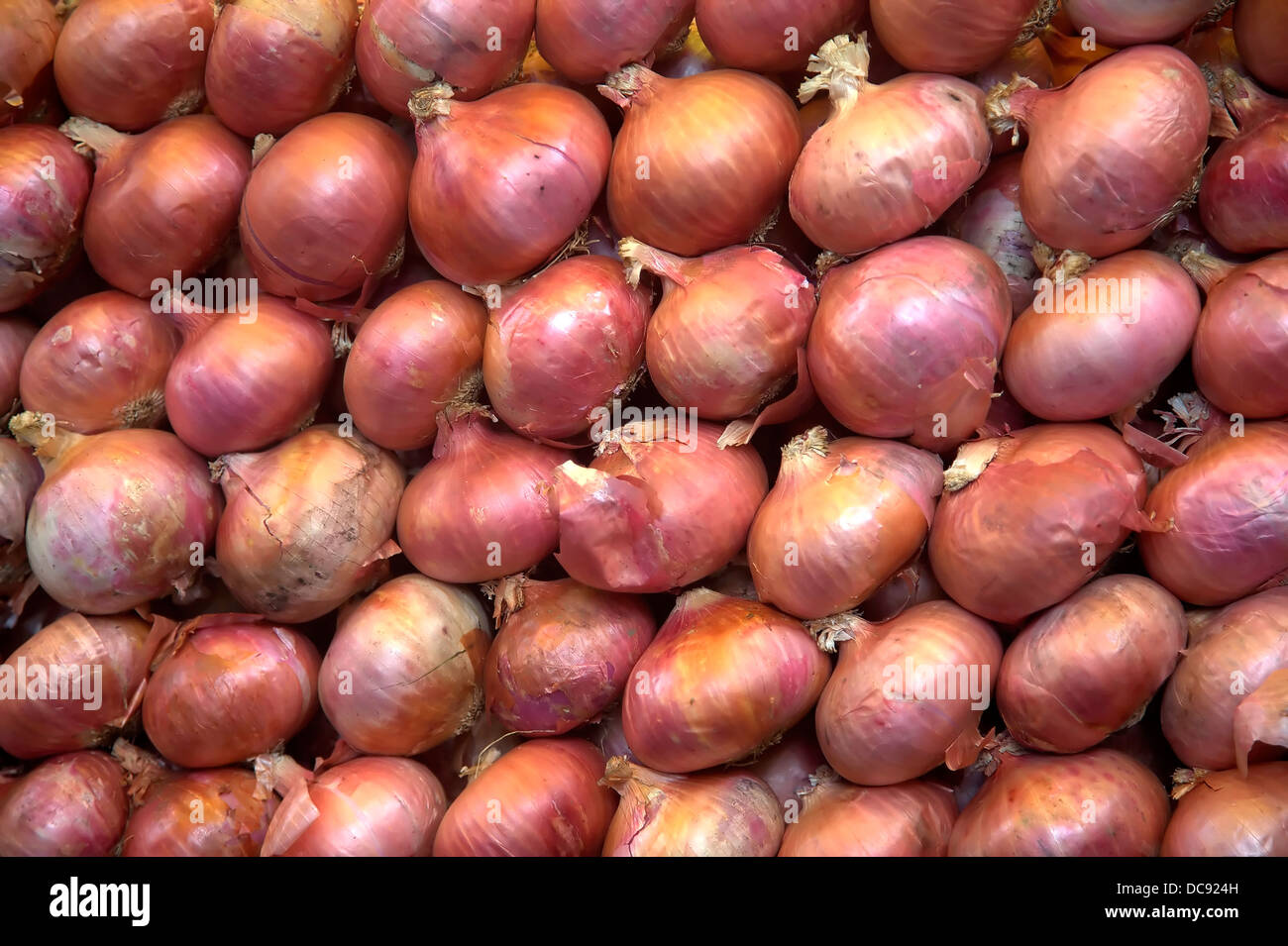 Onions,onion,bulb,vegetable,raw food,food,stack,rows,pungent, Stock Photo