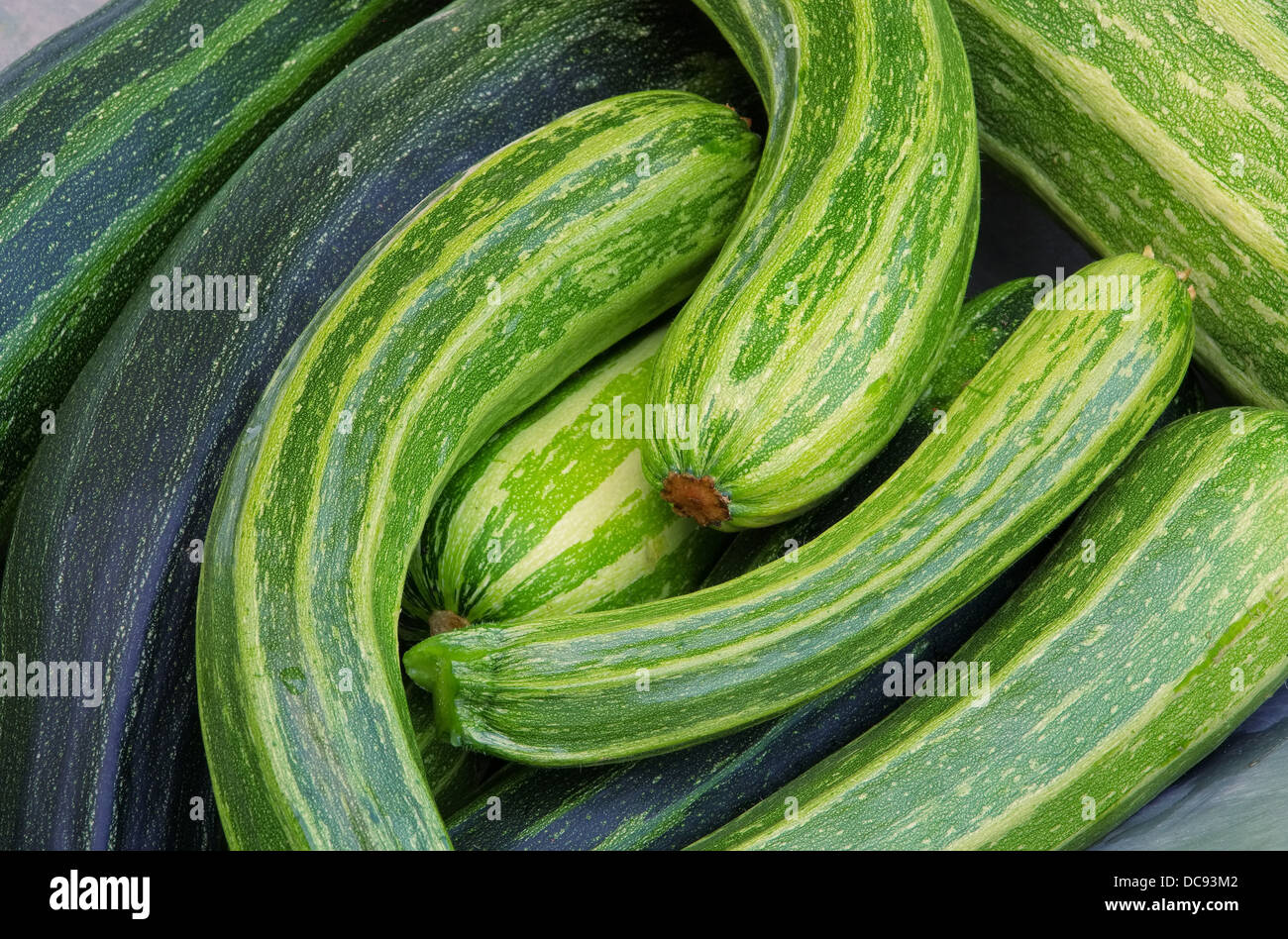 Zucchini - courgette 10 Stock Photo