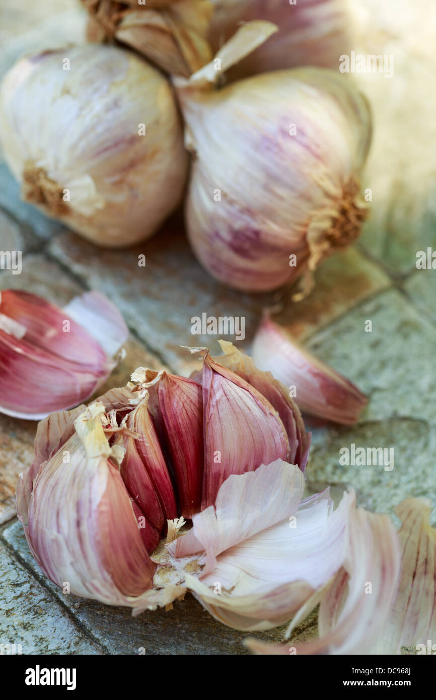 Red garlic from Sicily Stock Photo
