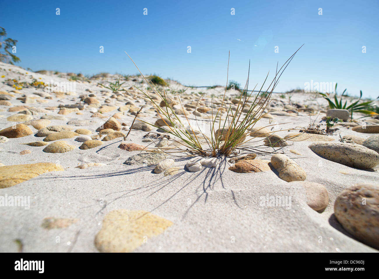 La Cinta Beach close to San Teodoro, Sardinia Stock Photo