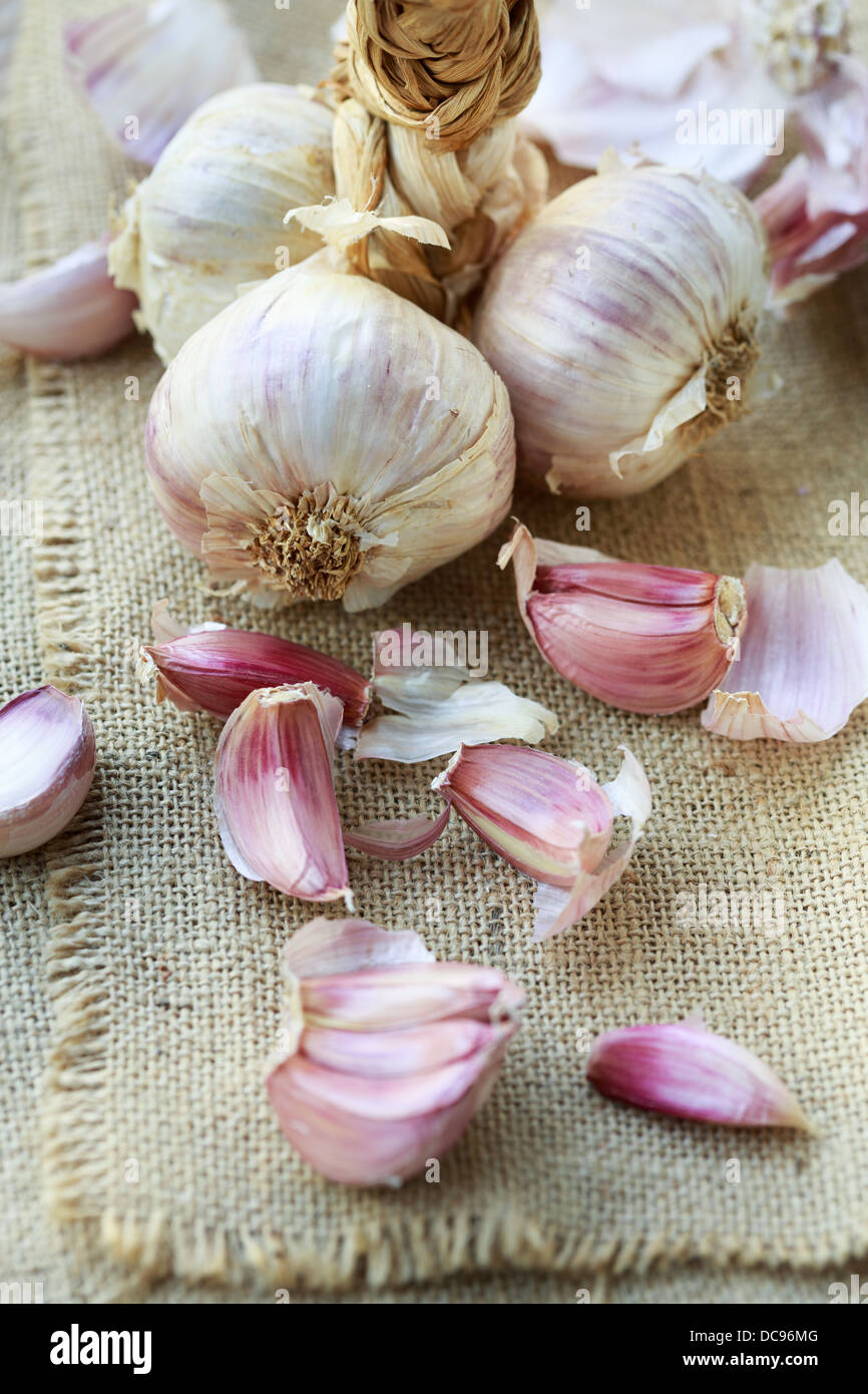 Red garlic from Sicily, Italy Stock Photo