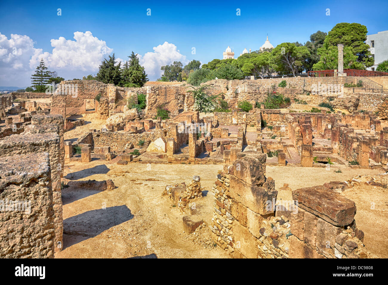 Punic Epoch Hi Res Stock Photography And Images Alamy   Ancient Ruins In District Of Punic Byrsa Carthage Tunisia DC9808 