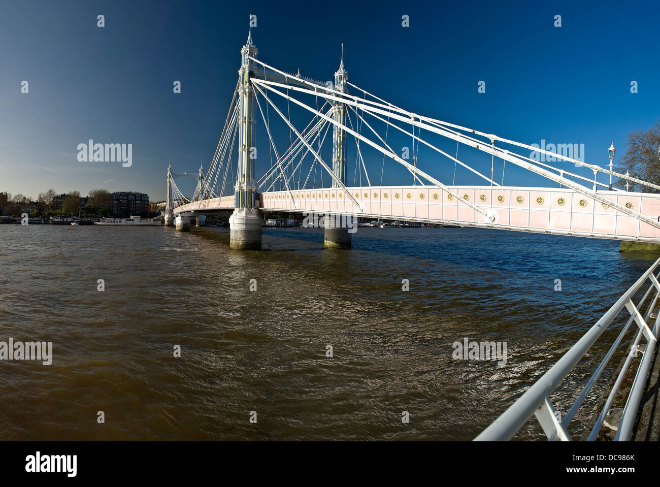 Albert Bridge on the River Thames, London, UK Stock Photo - Alamy