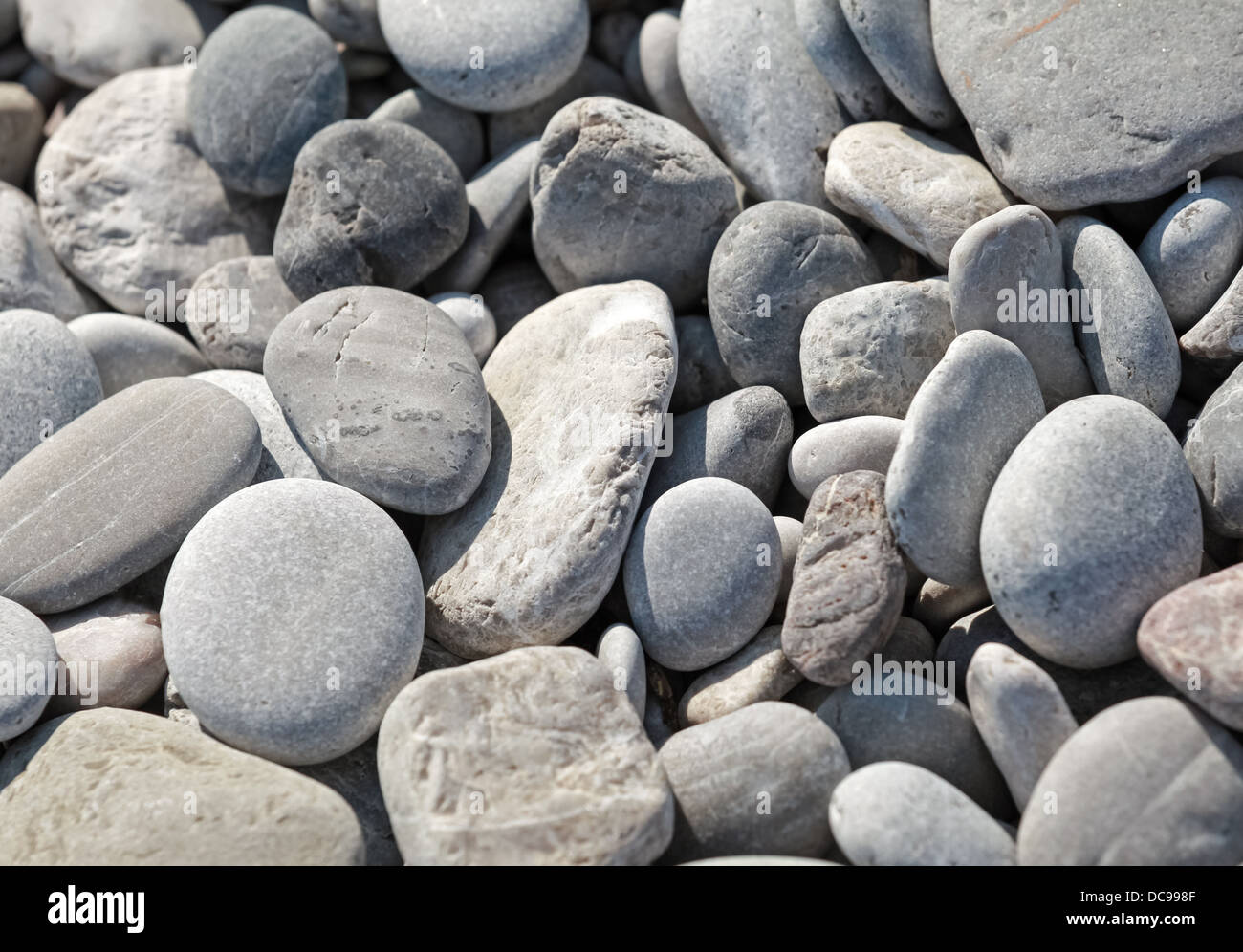Dry coastal gray stones background Stock Photo