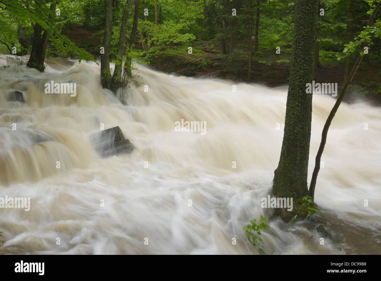 Waterfall on the Selke River during a flood, torrential floods Stock Photo