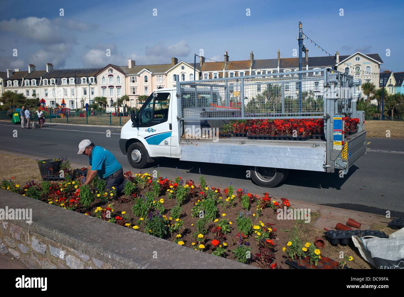 Planting flowerbeds Teignmouth, Devon, UK Stock Photo