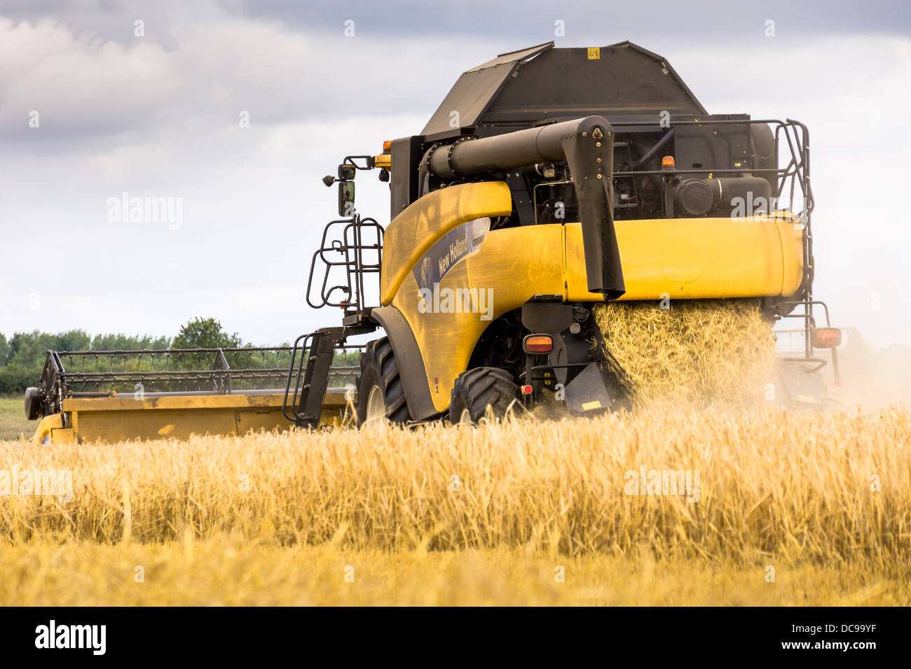 Combine Harvester at work Stock Photo