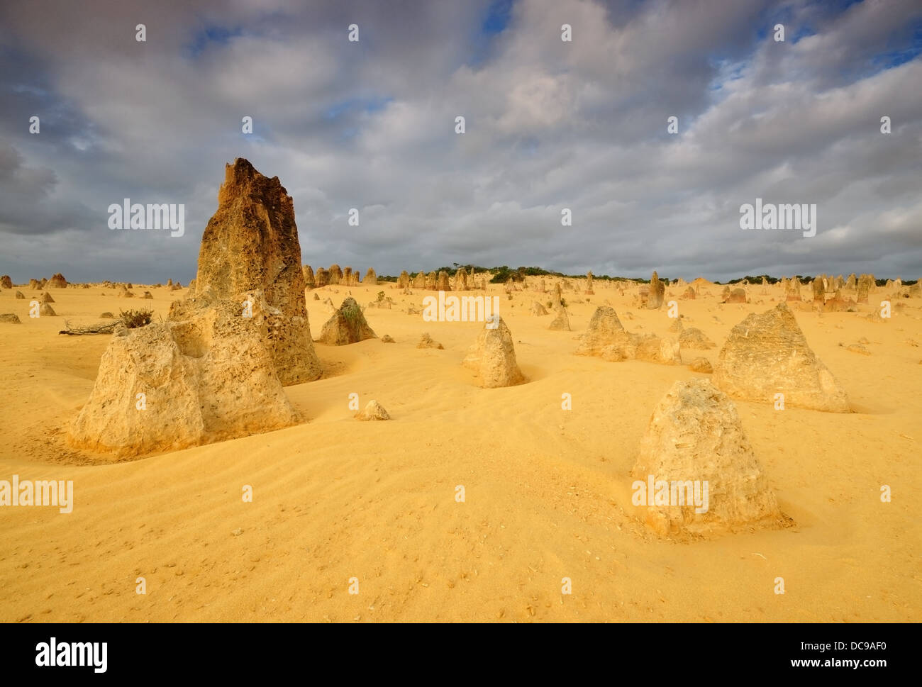 The Pinnacles Desert Western Australia Stock Photo