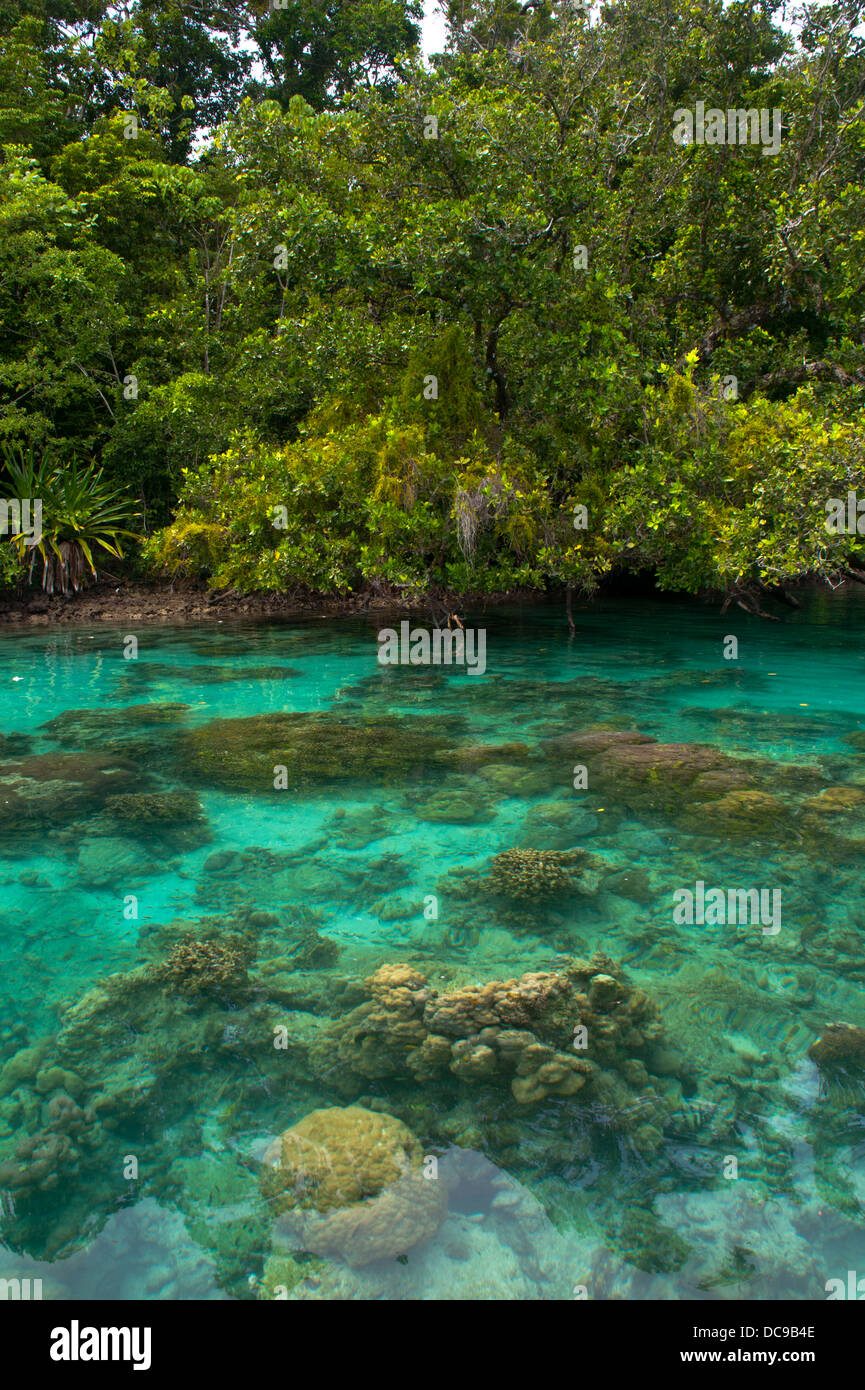 Clear waters of the Marovo Lagoon Stock Photo