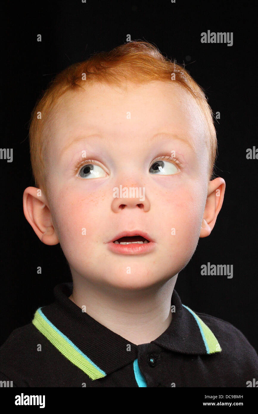 Titian Hair High Resolution Stock Photography And Images Alamy