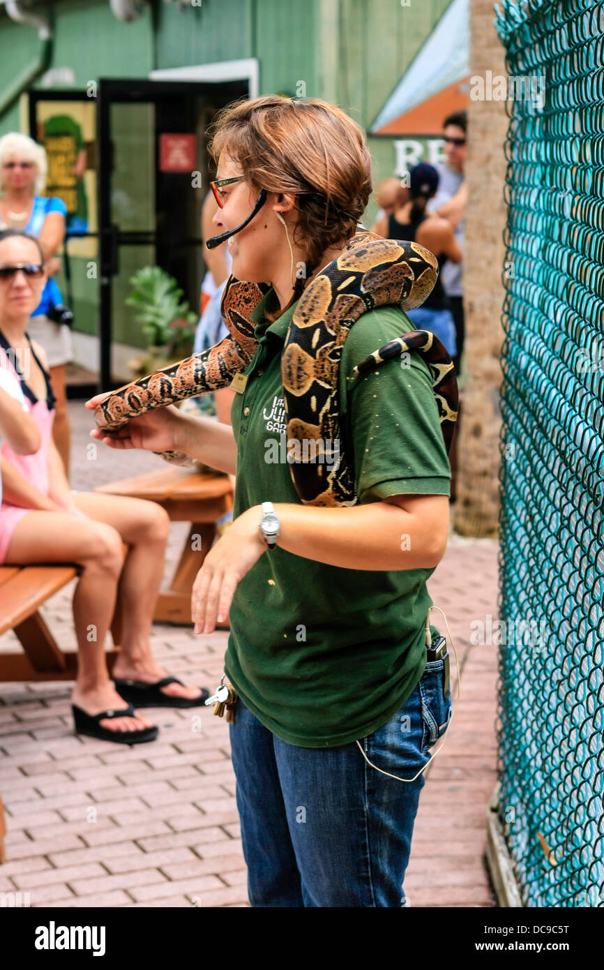 Animal handler at the Sarasota Jungle Gardens handles and talks about a