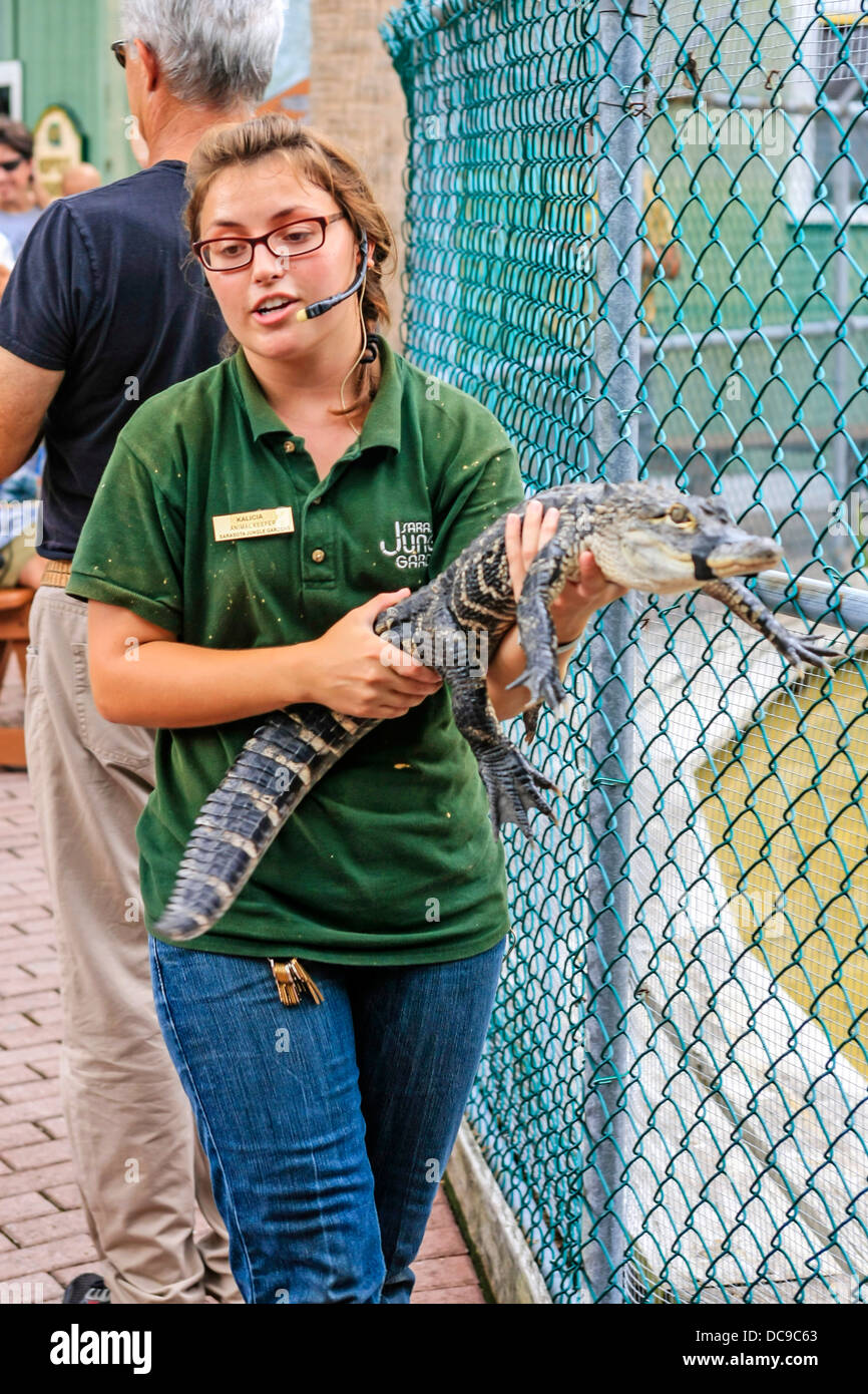Animal handler at the Sarasota Jungle Gardens handles and talks about a