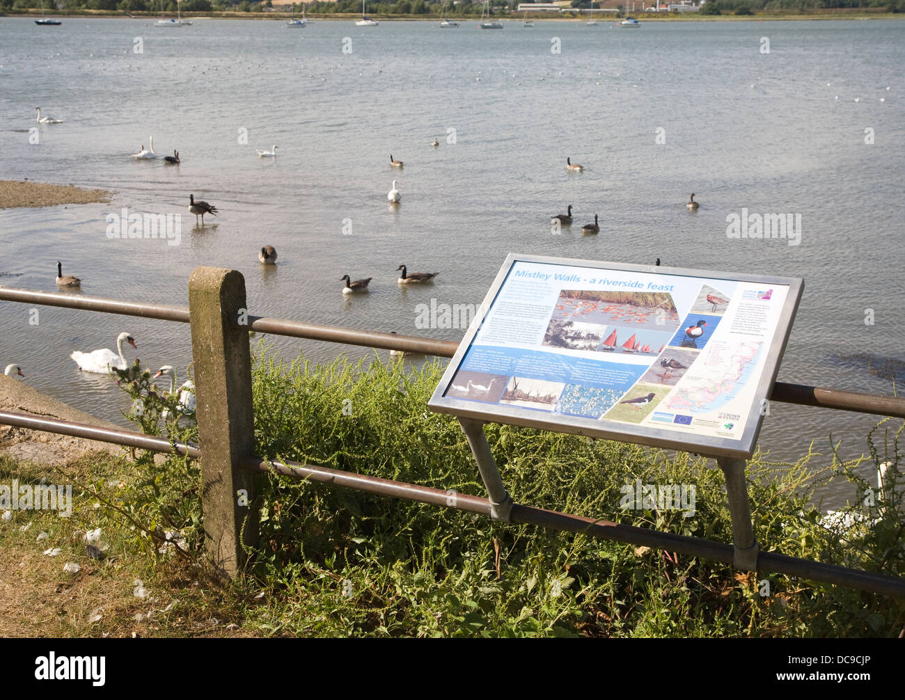 Birds River Stour information board notice Mistley Walls Manningtree