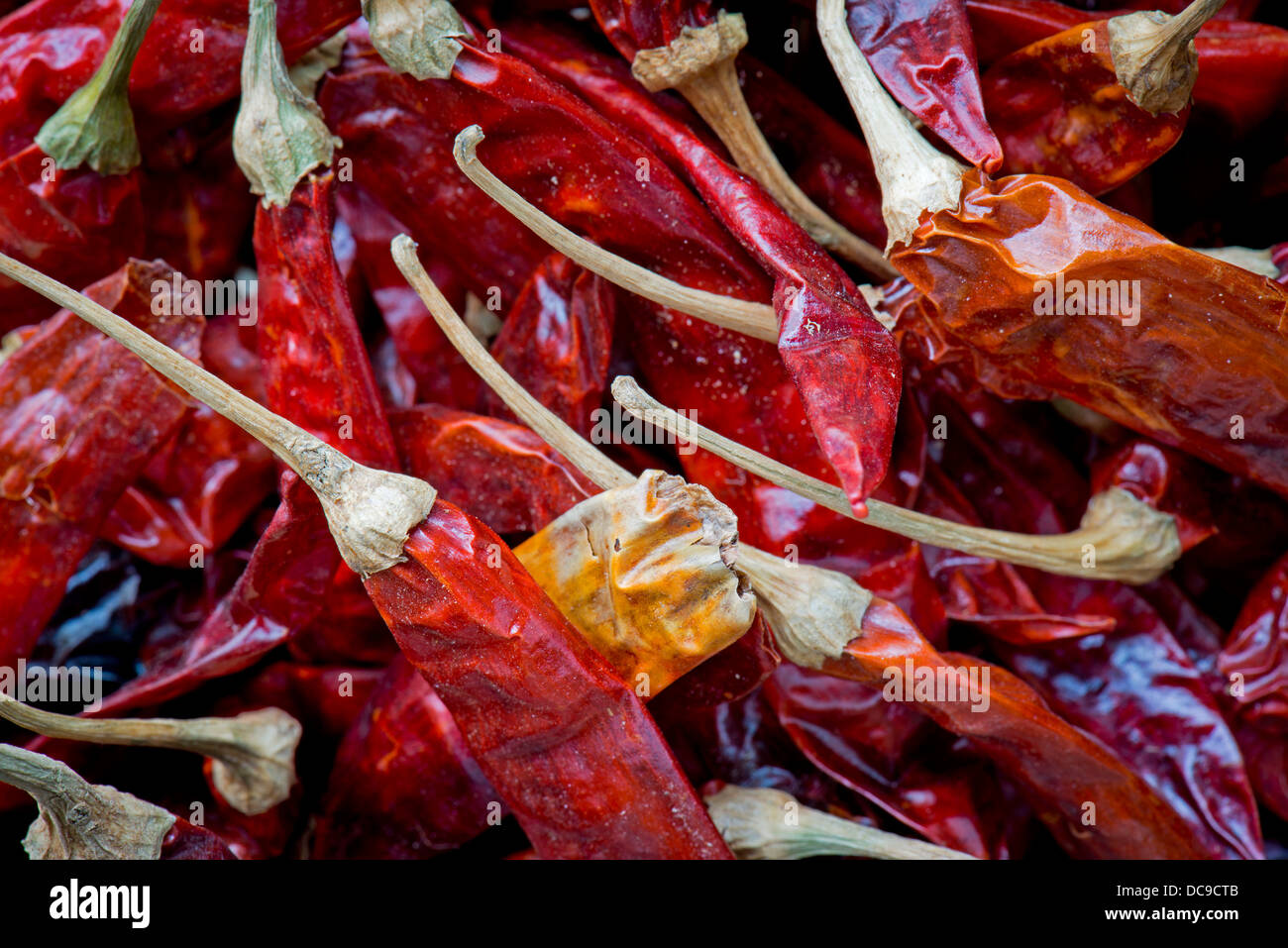 Dried red chili Stock Photo