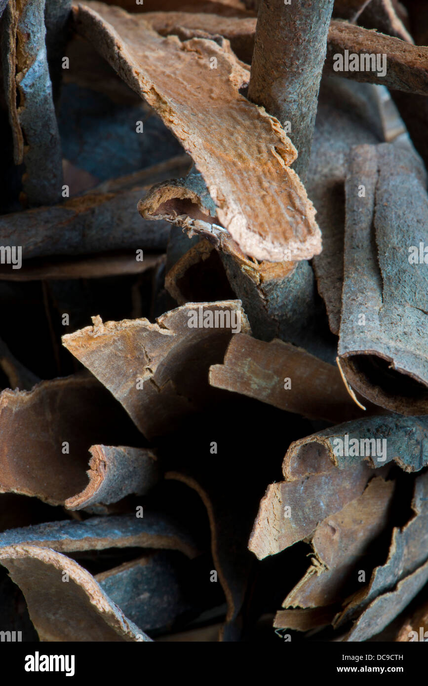 Cinnamon Stock Photo