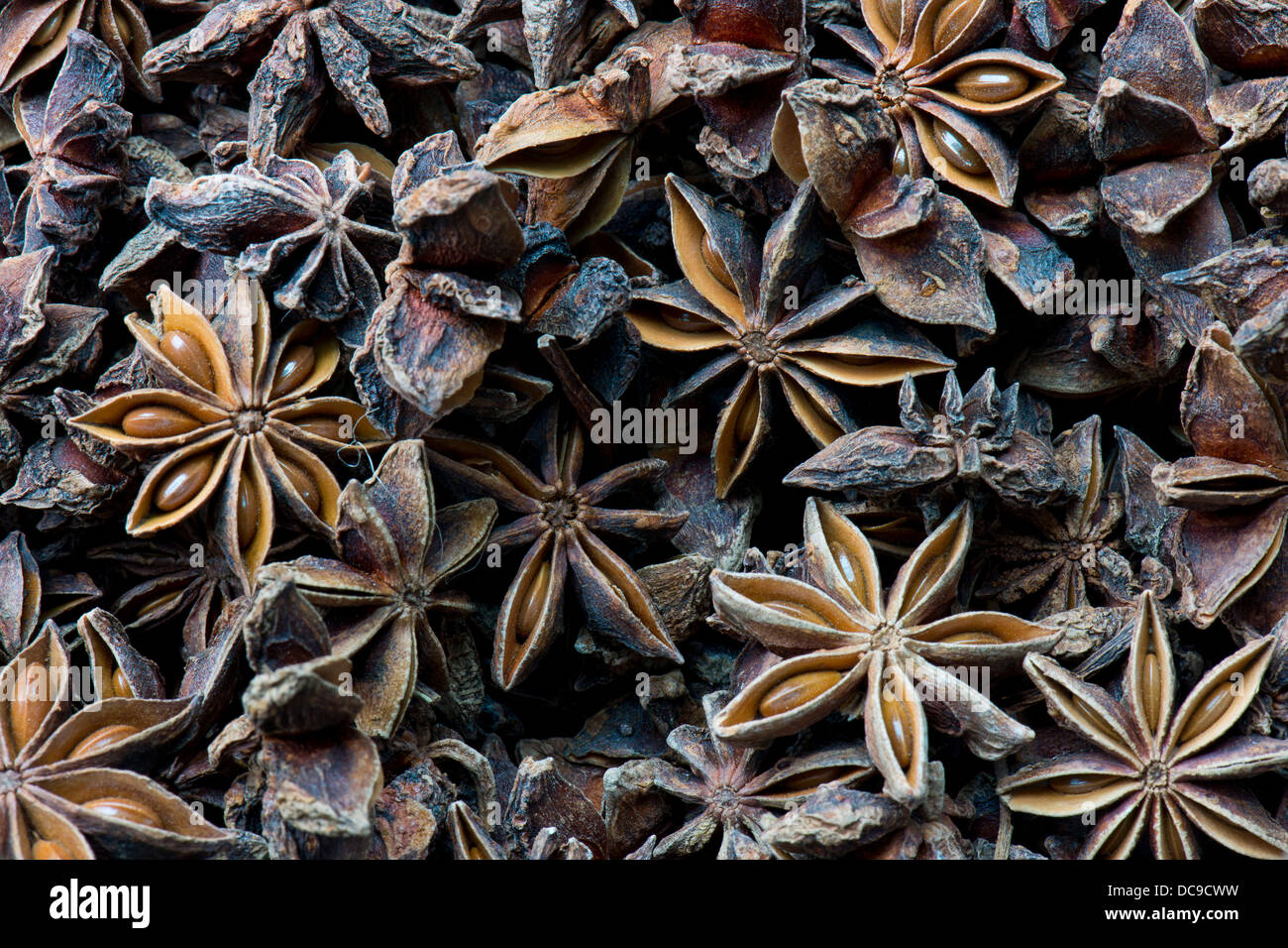 Star anise Stock Photo