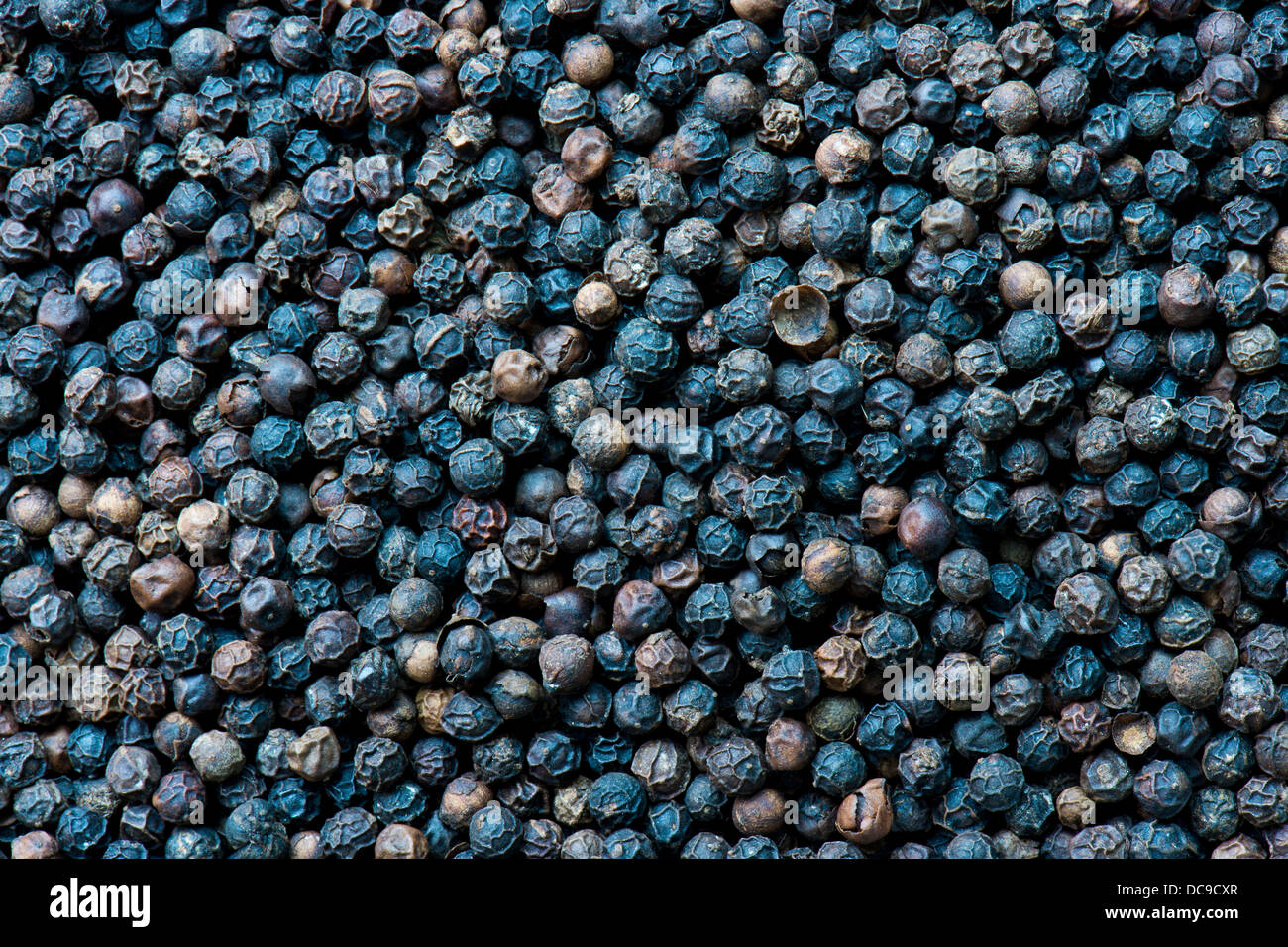 Black pepper plant kerala india hires stock photography and images Alamy