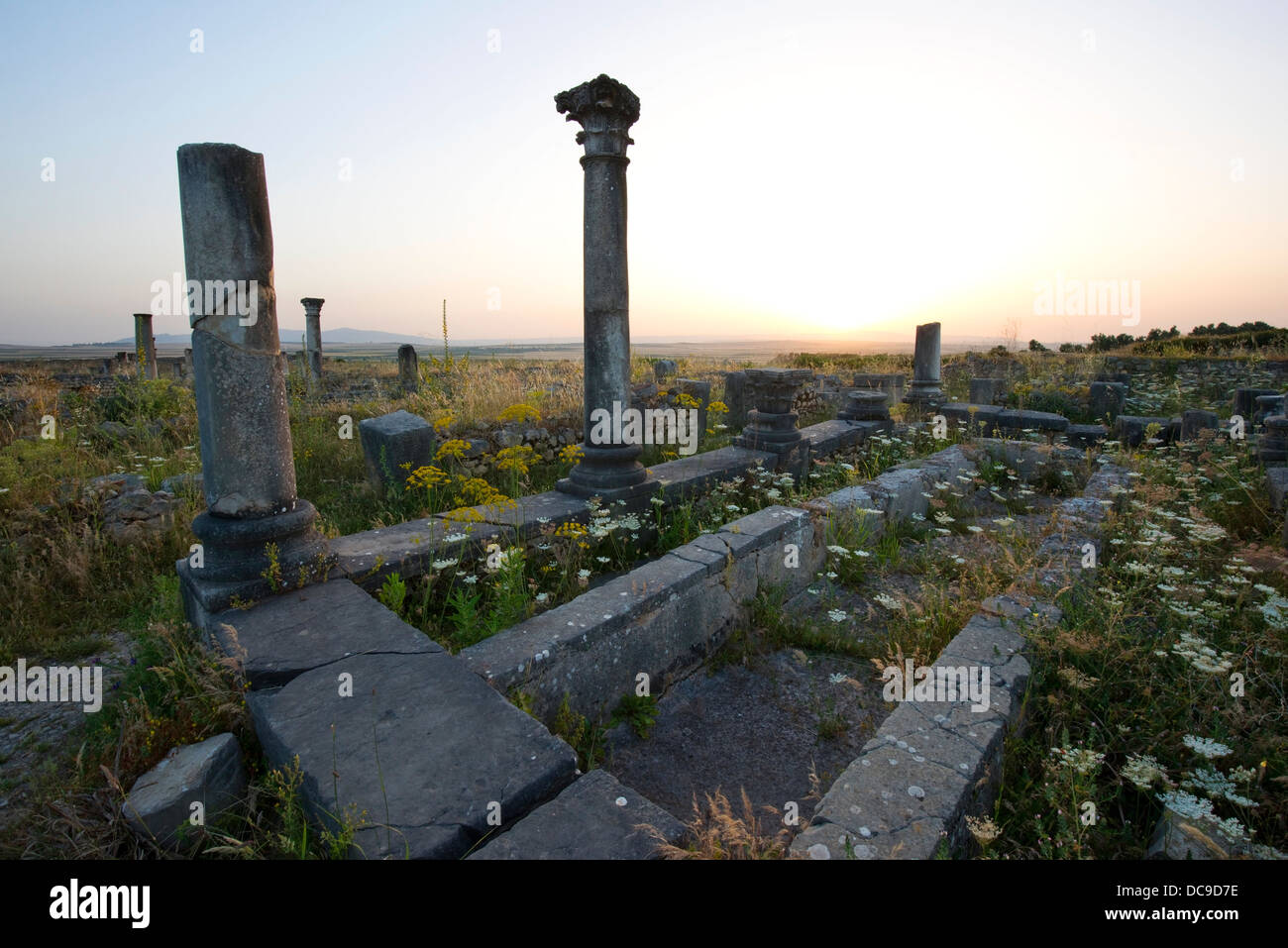 Ancient Roman ruins at sunset at the partially excavated Roman city of Volubilis near Meknes, Morocco. Stock Photo