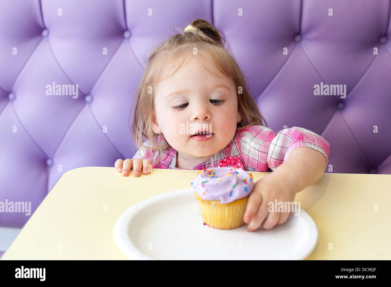 Cupcakes Stock Photo