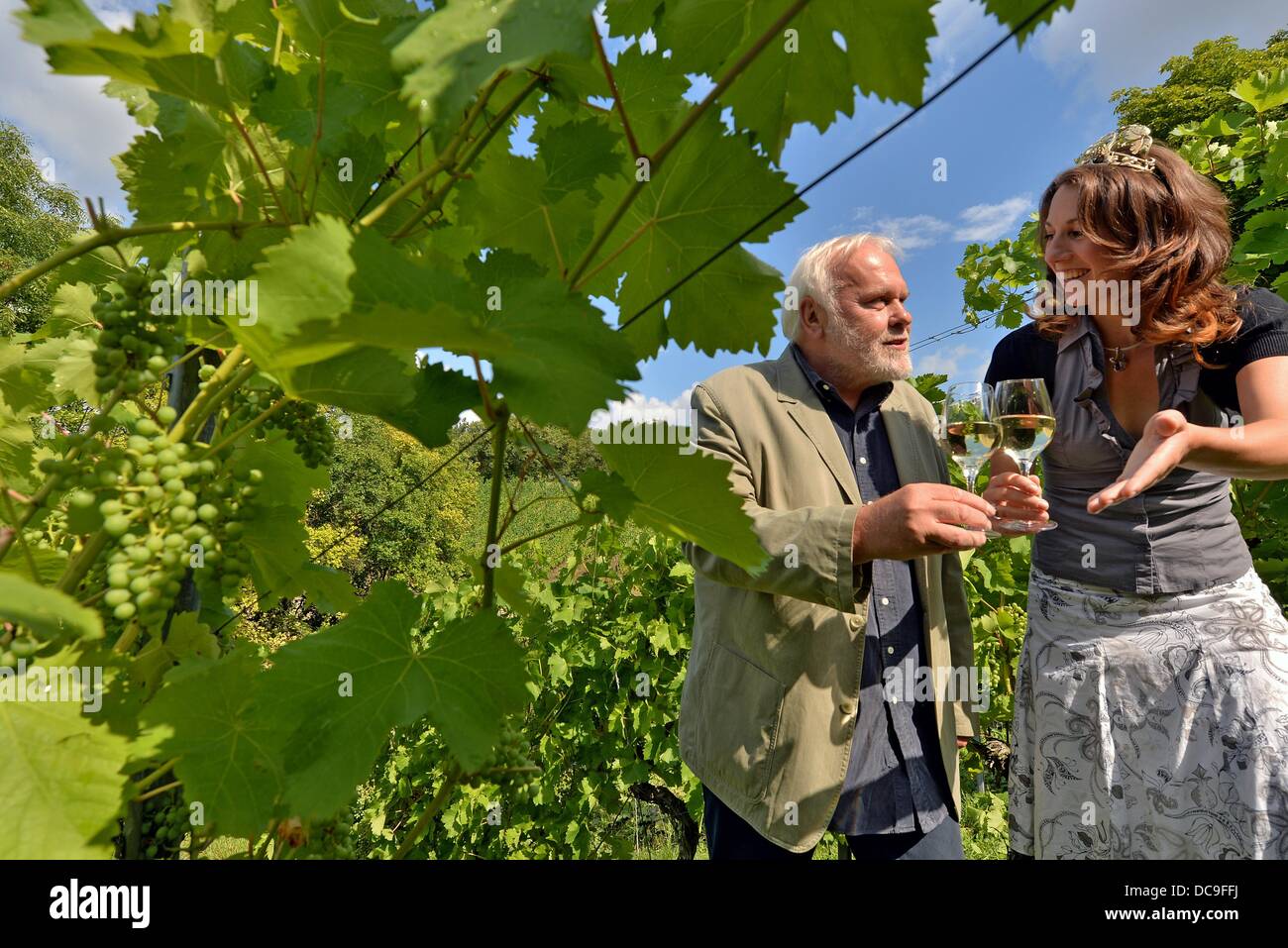 Weinert vineyard hires stock photography and images Alamy