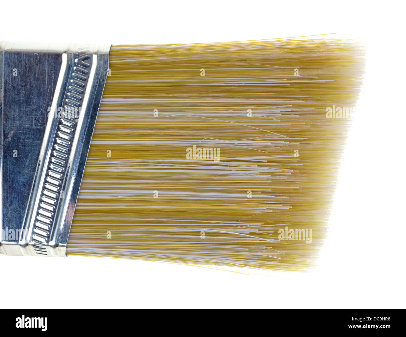 A very close view of the polyester bristles of a sash paint brush on a white background. Stock Photo