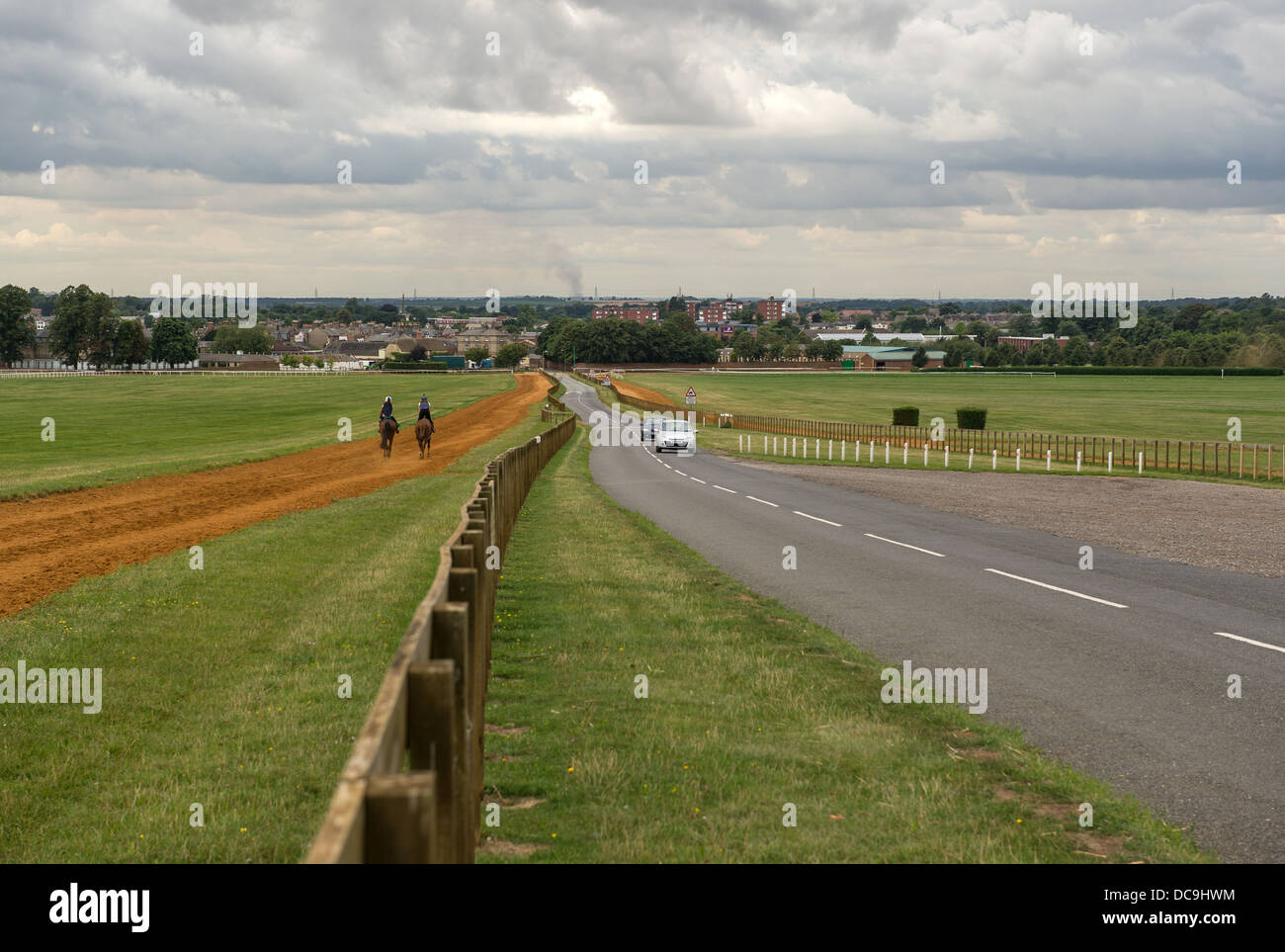 Warren Hill gallops Newmarket.  Two horses trot next to the road at the end of a session. Stock Photo
