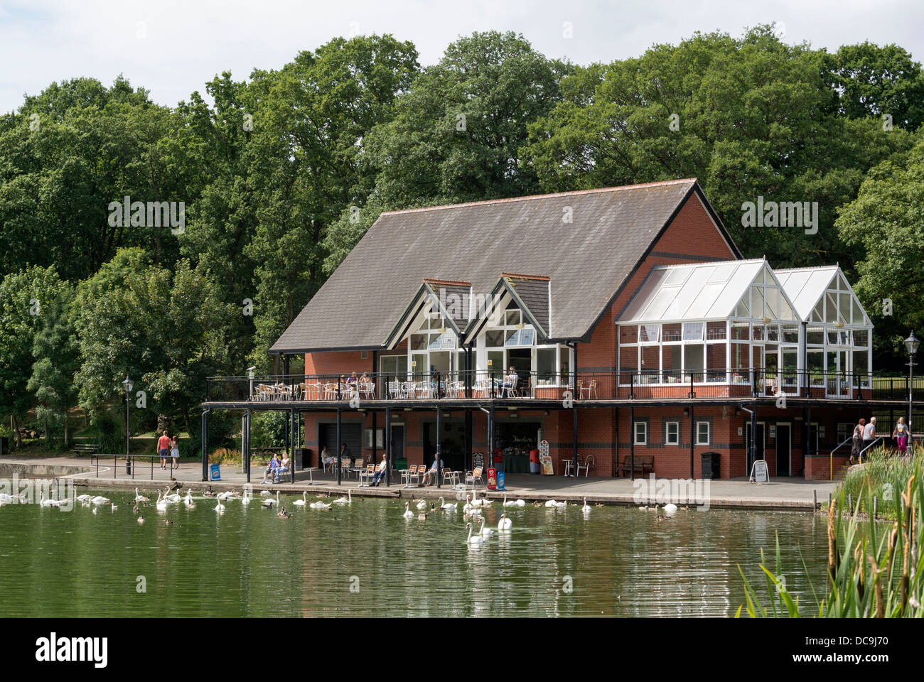 Llandrindod Wells lake swans and ducks and lakeside restaurant building, Powys Wales UK. Stock Photo