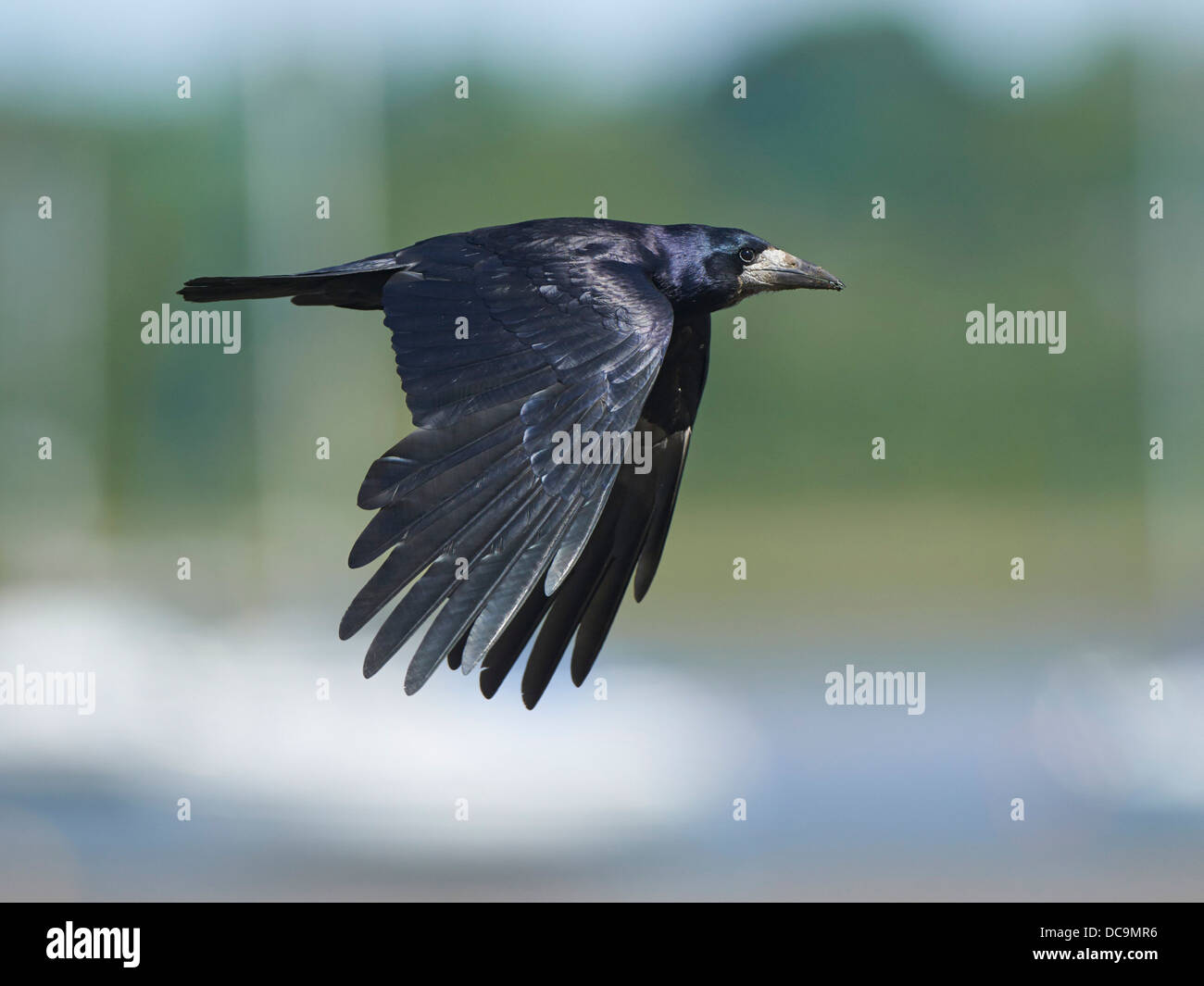 Direct flight hi-res stock photography and images - Alamy