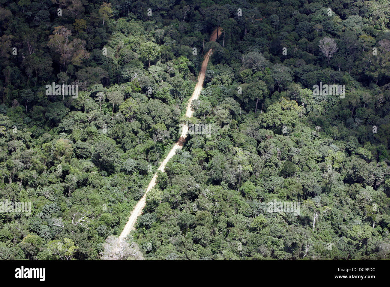 Logging road constructed to provide access to the forest for logging