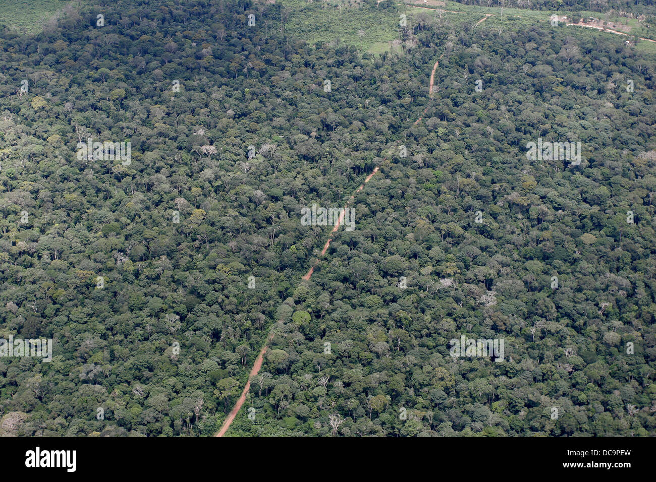 Logging road constructed to provide access to the forest for logging