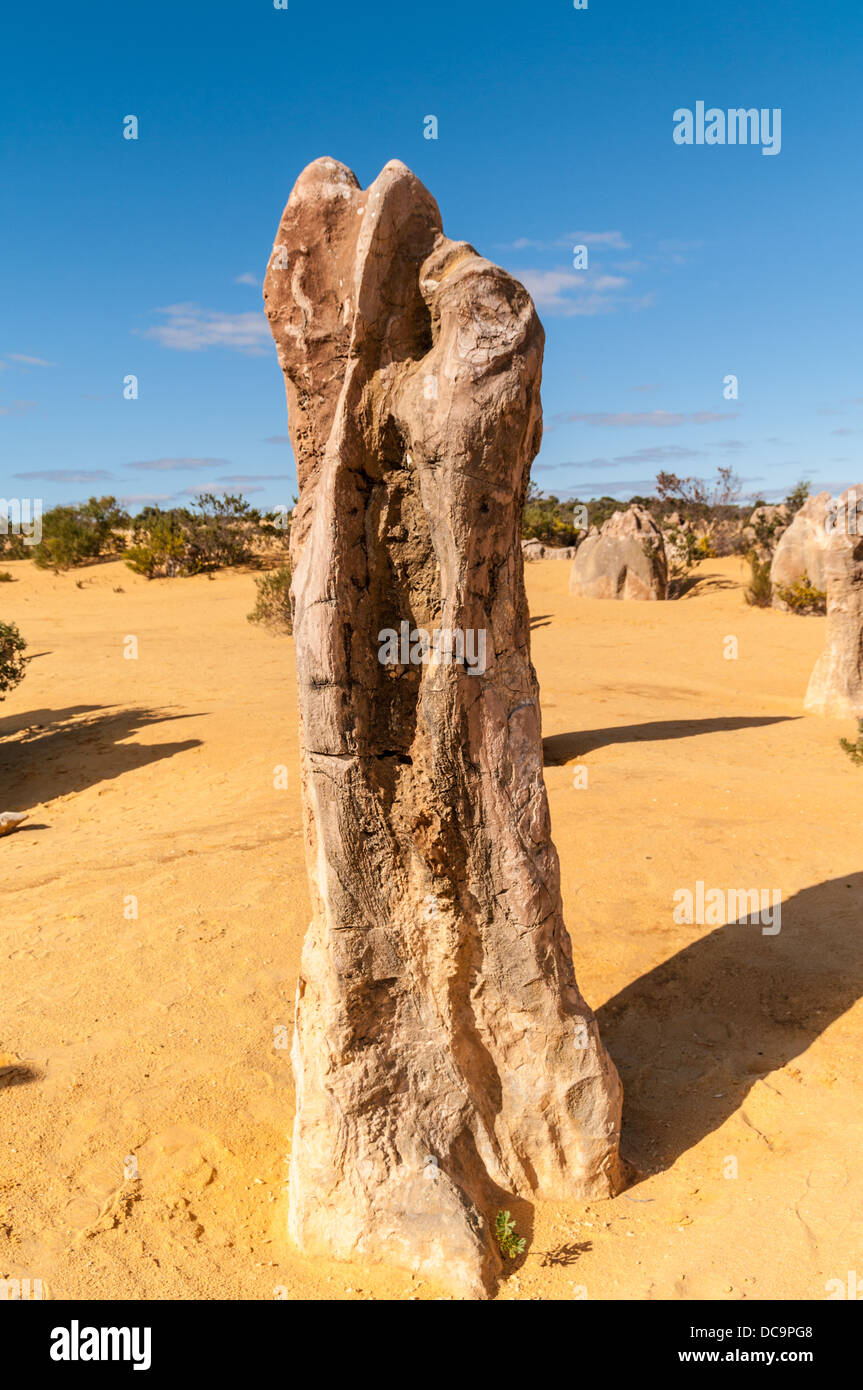 THE PINNACLES, NAMBUNG NATIONAL PARK, NEAR CERVANTES, WESTERN AUSTRALIA