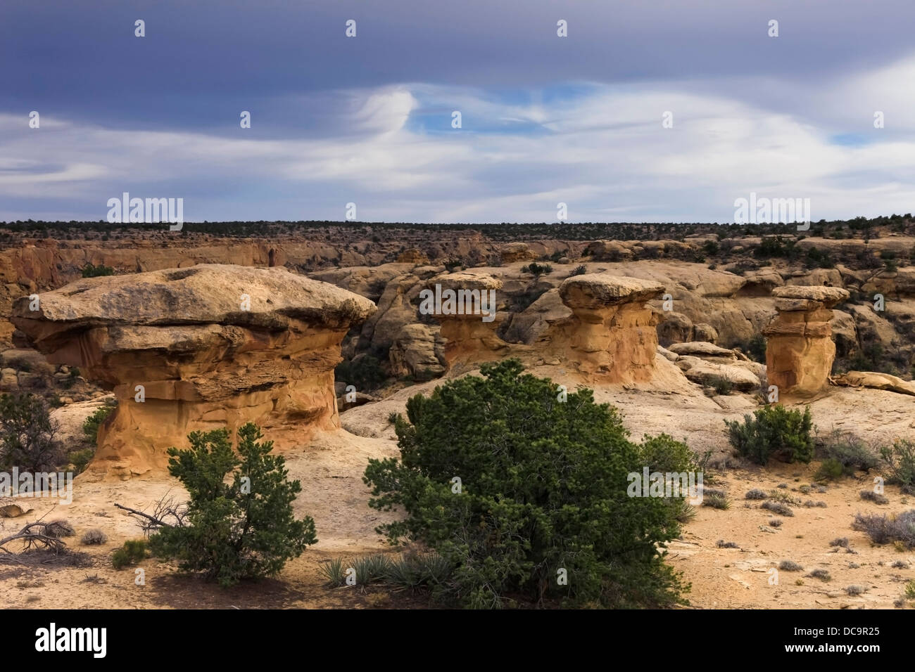 Window Rock, Arizona, USA. Capital of the Navajo Nation Stock Photo Alamy