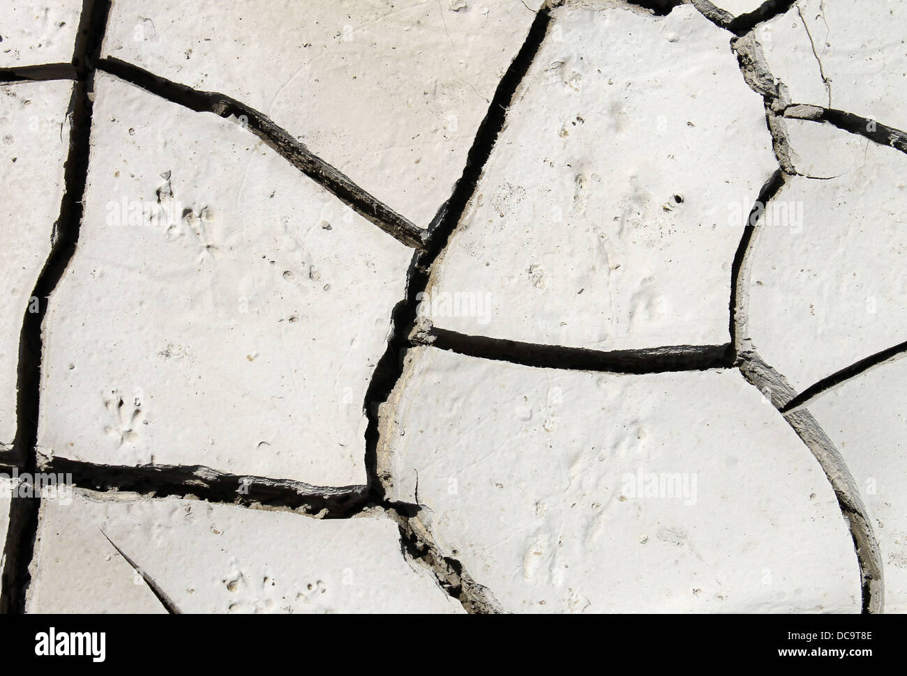 Abstract background of cracked dry white mud. Stock Photo