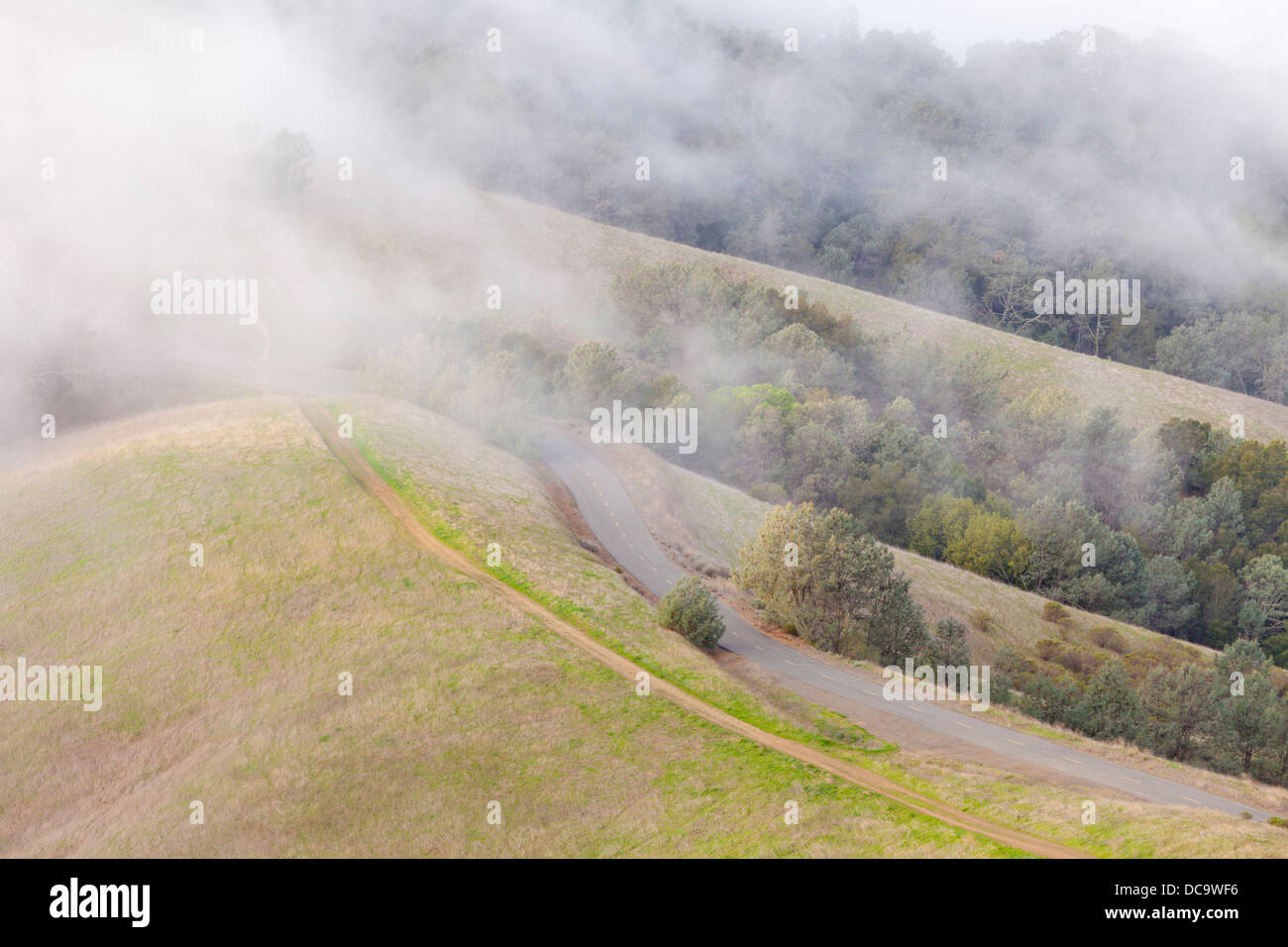 USA, California, Walnut Creek. Foggy view of landscape at Mount Diablo State Park. Stock Photo