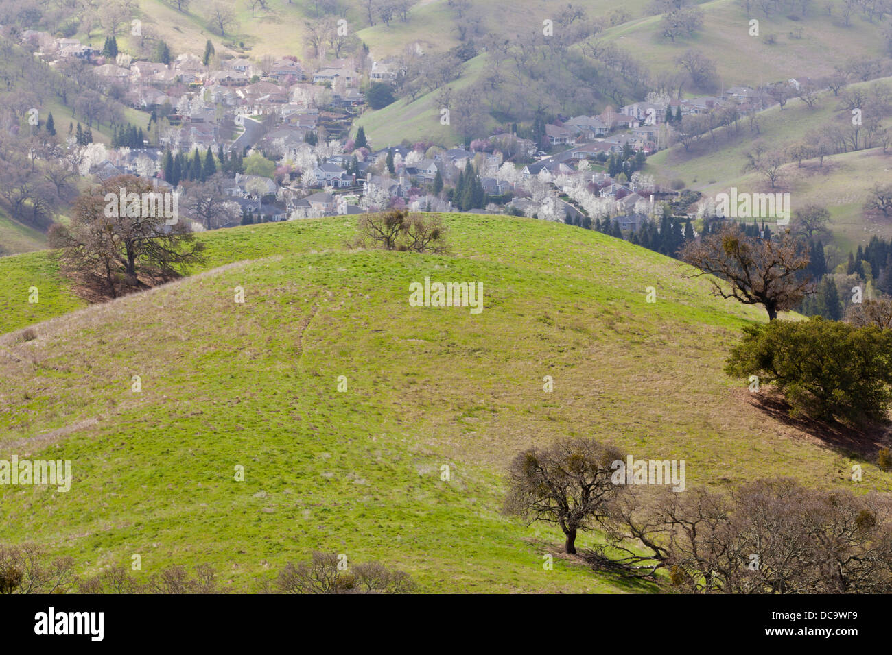 USA, California, Walnut Creek. View of homes from Mount Diablo State Park. Stock Photo