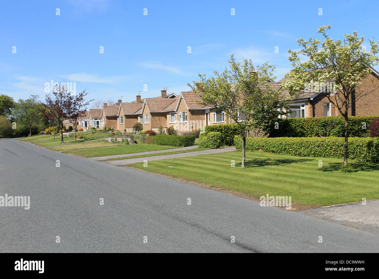 Row of bungalows in village with blue sky background. Stock Photo