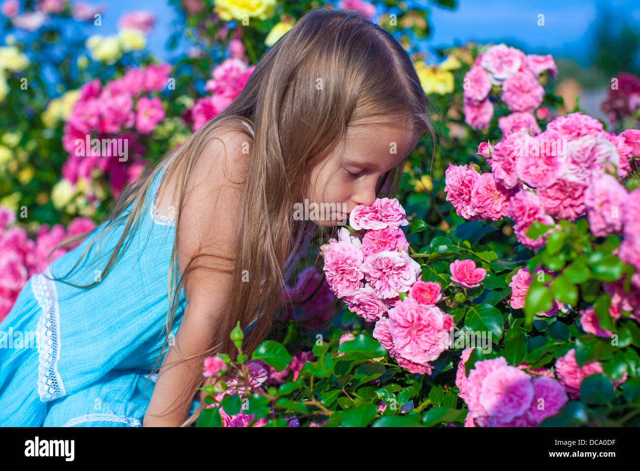 Little adorable girl smelling colorful flowers at summer day Stock ...