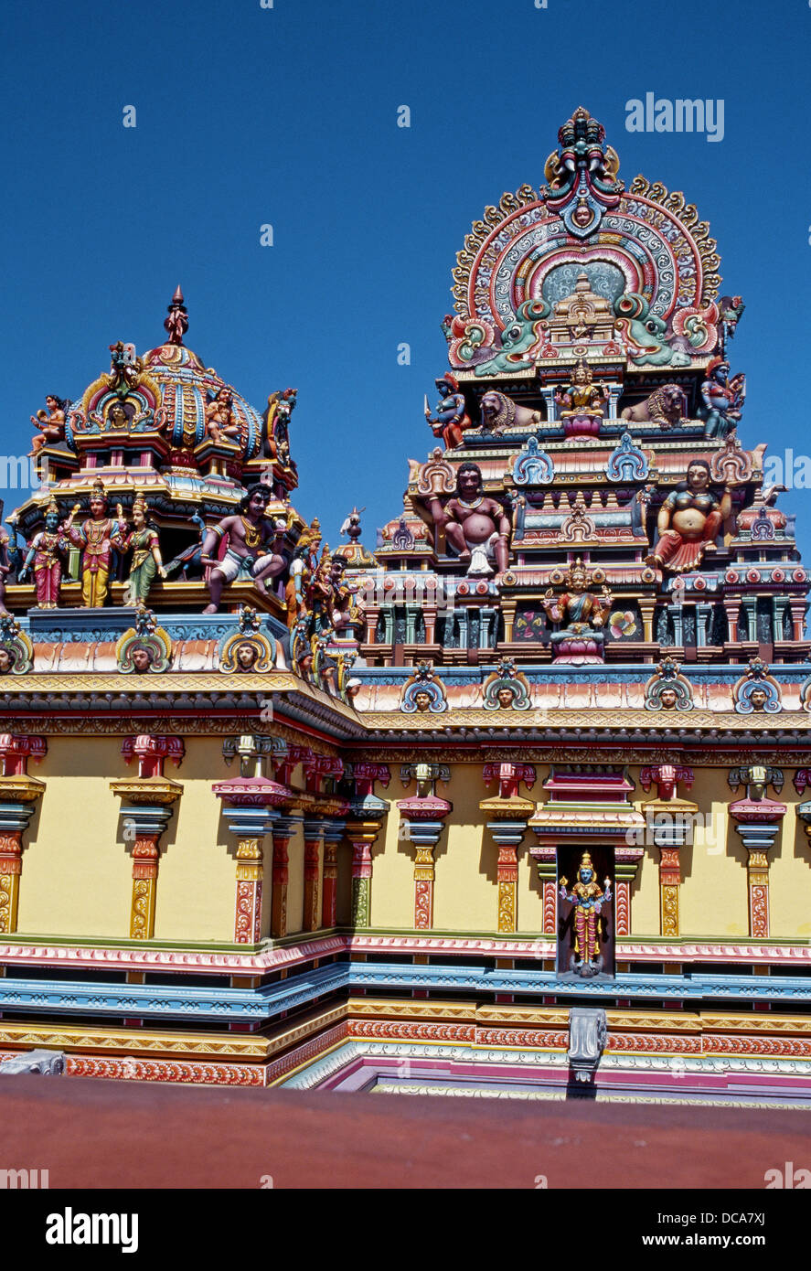 Rose Belle High Resolution Stock Photography and Images Alamy