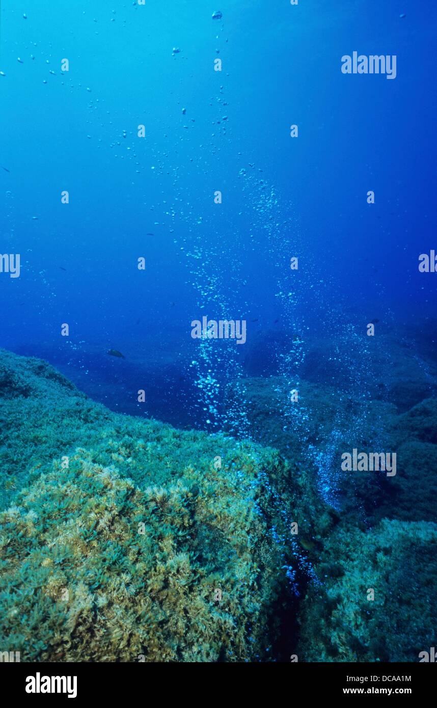 Submarine hydrothermal sources, Banco Joao de Castro, Atlantic Ocean ...
