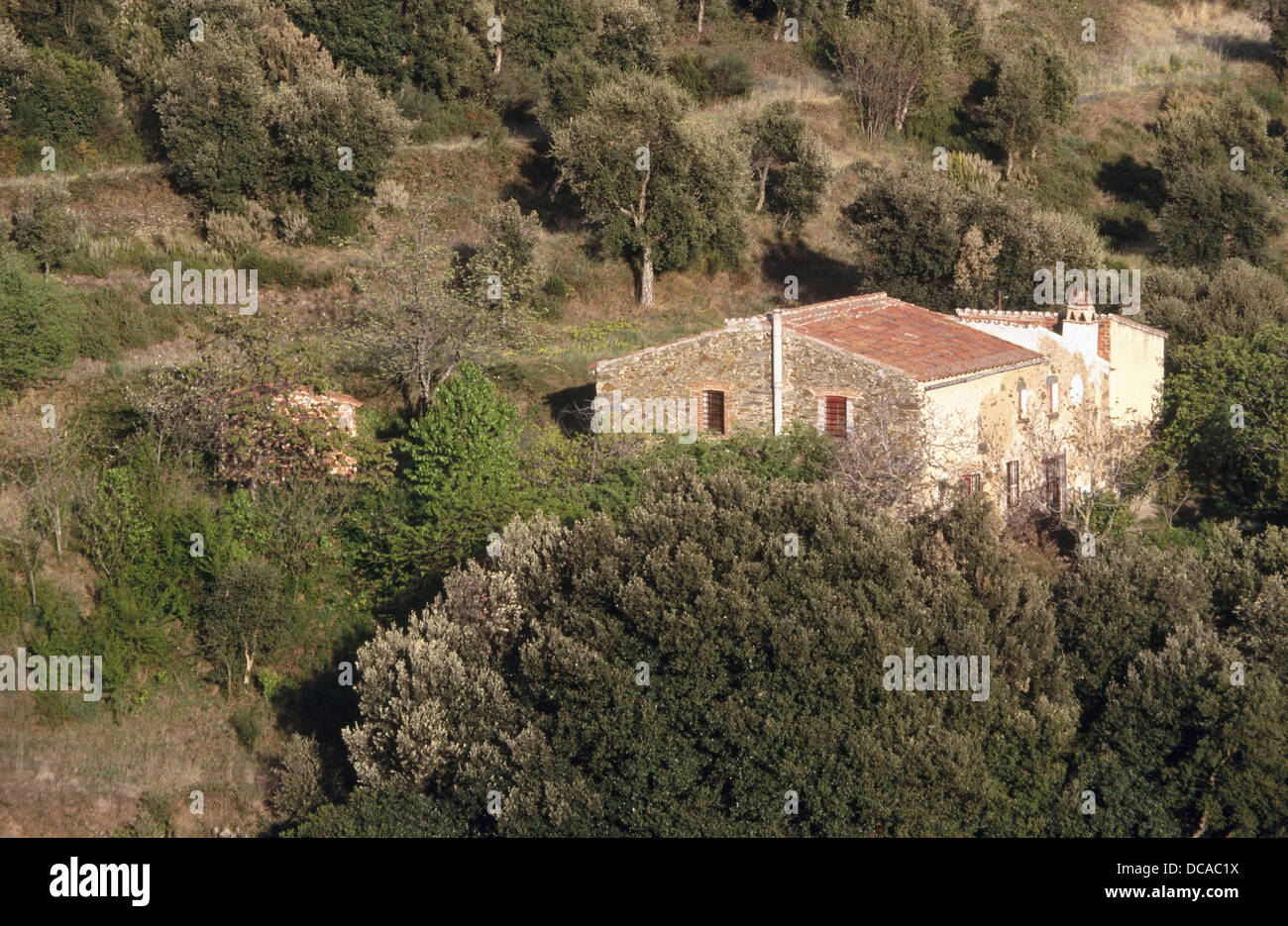 Montseny Natural Park, Barcelona province. Spain Stock Photo Alamy