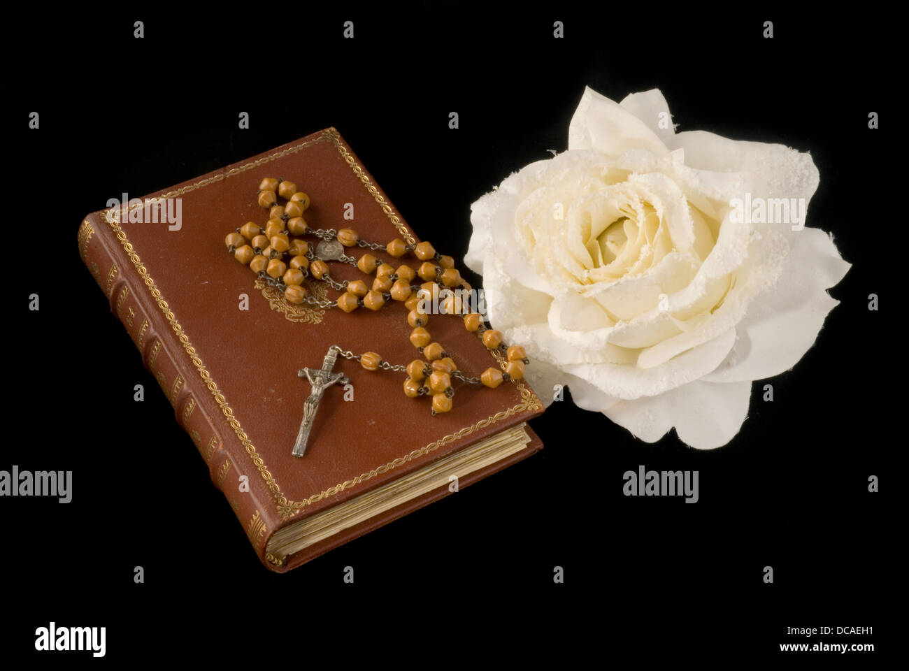 Photo libre de droit de Bible Et Rose banque d'images et plus d'images  libres de droit de Rose - Fleur - Rose - Fleur, Livre, Bible - iStock