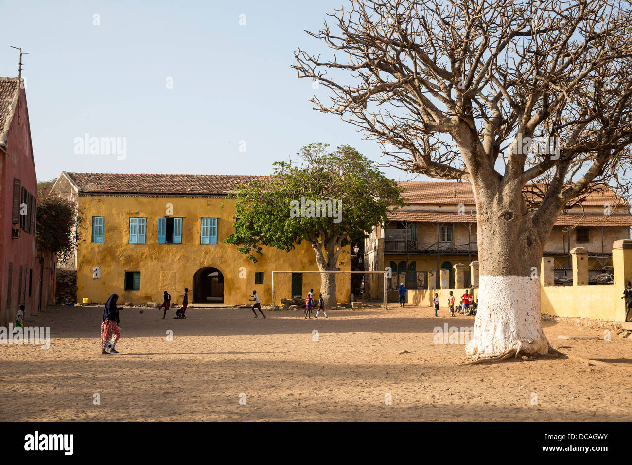 Baobab Tree, Sports Field, Old House, Goree Island, Senegal. Stock Photo