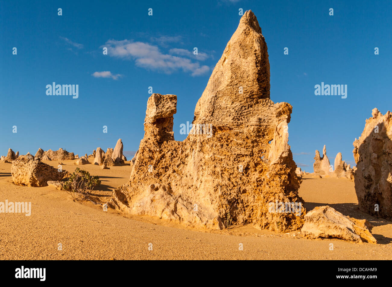 THE PINNACLES, NAMBUNG NATIONAL PARK, NEAR CERVANTES, WESTERN AUSTRALIA