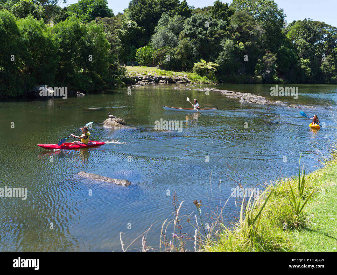 dh KERIKERI RIVER NEW ZEALAND NZ Family kayaking boy paddling canoe kayak children bay of