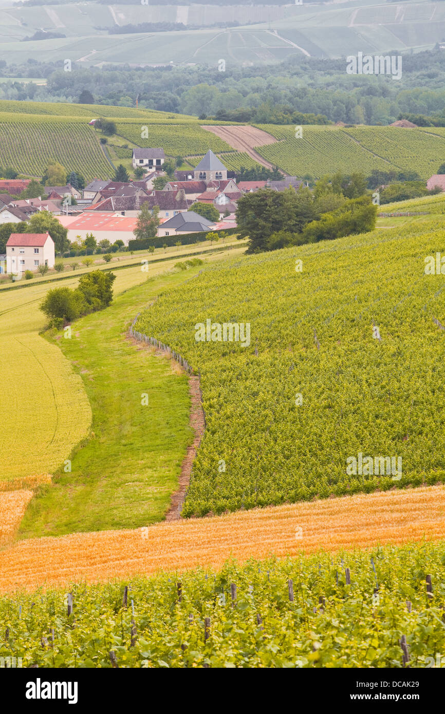 Champagne vineyards near to Balnot-sur-Laignes in the Cote des Bar area of the Aube department. Stock Photo