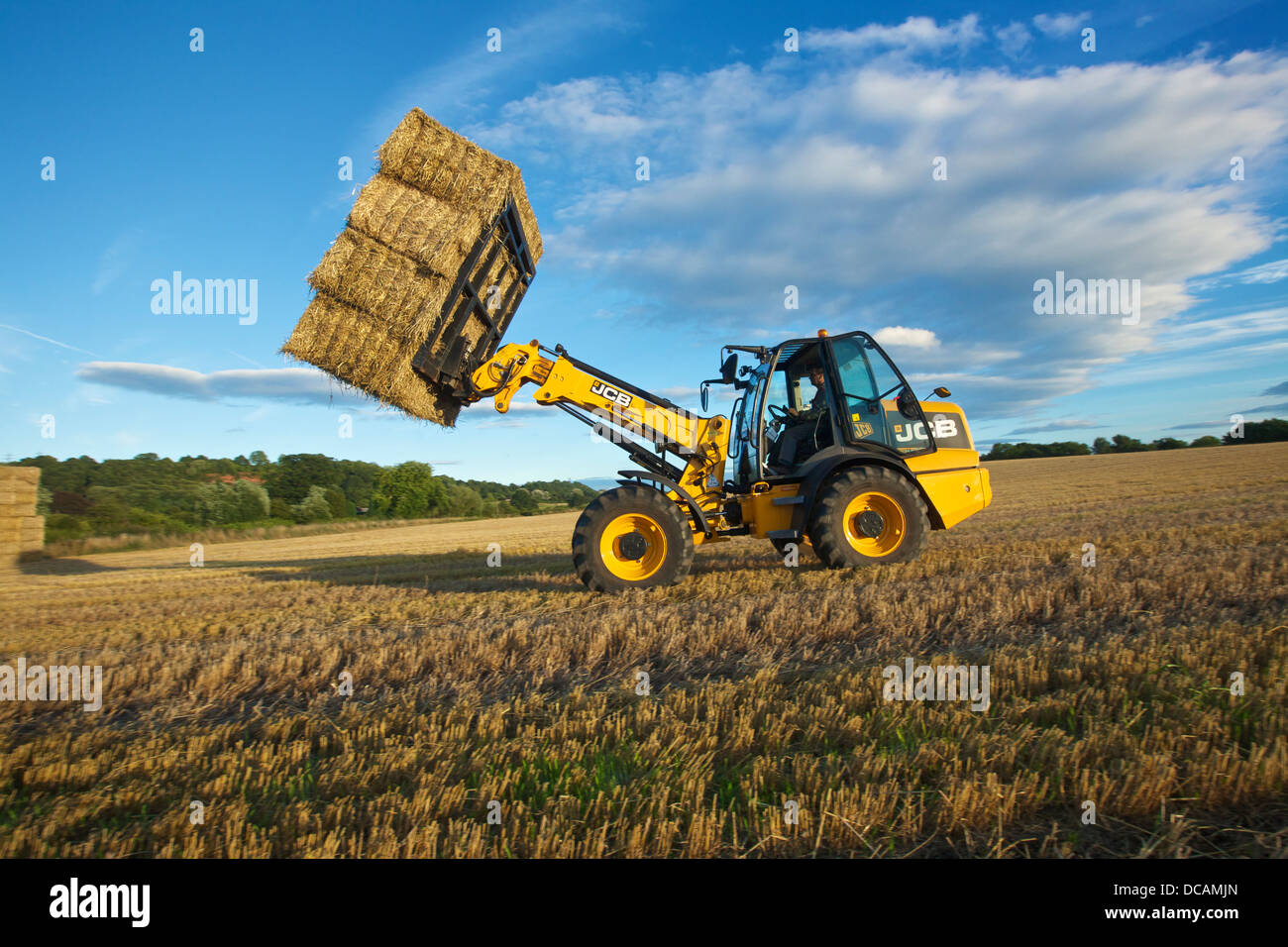 Stacking Straw bales with a JCB TM 130s during harvest UK Stock Photo