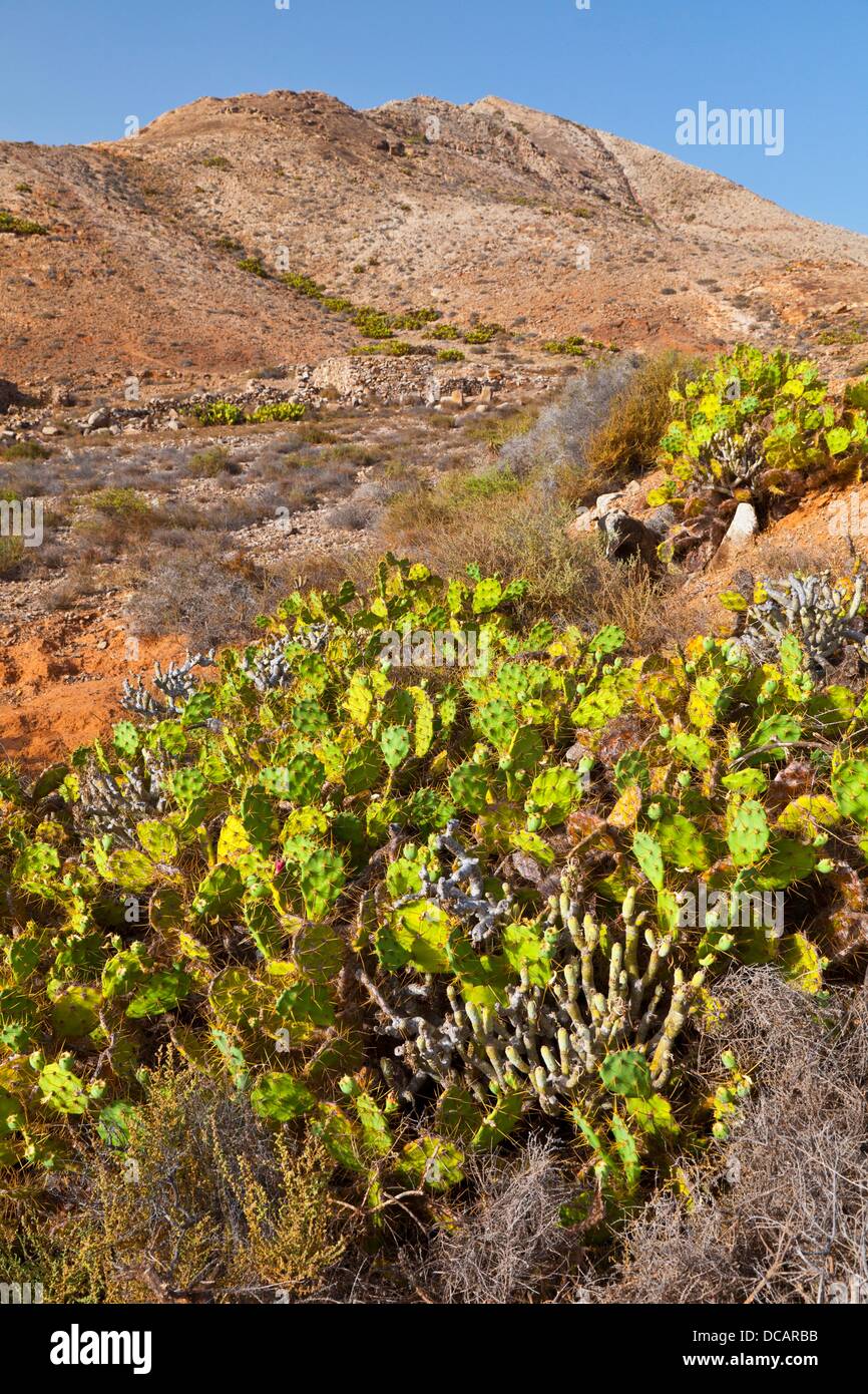 Montaña Sagrada de Tindaya Pueblo Tindaya Fuerteventura, Las Palmas, Canary Islands, Spain Stock Montaña Sagrada de Tindaya Pueblo Tindaya Fuerteventura, Las Palmas, Canary Islands, Spain Stock