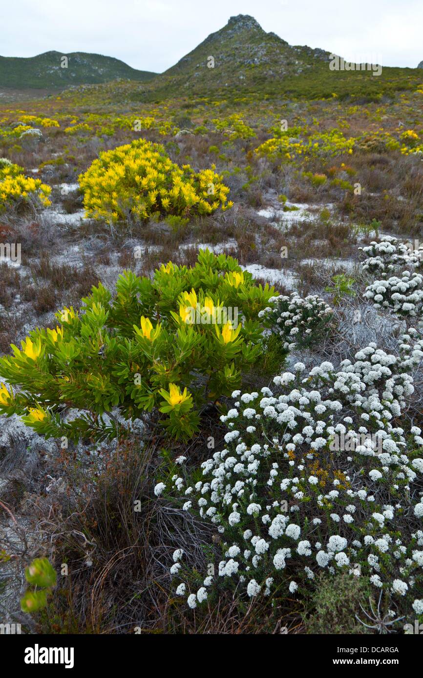 Africa paisaje hi-res stock photography and images - Alamy
